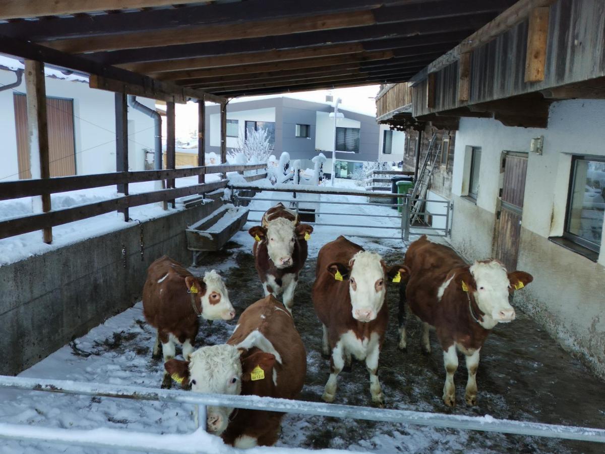 Ferienhaus Weberhof Reith im Alpbachtal Luaran gambar
